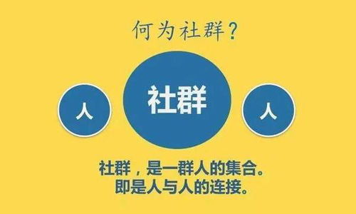 群主商学院 玩转社群的六大绝招与网络文化经营