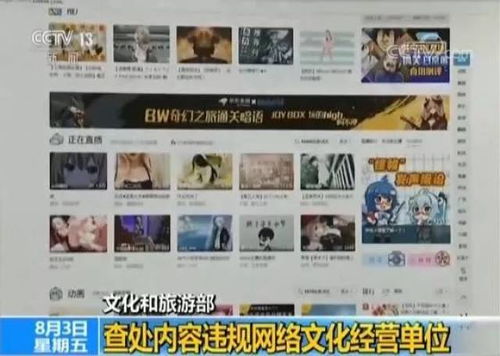 重拳出击！文化和旅游部查处内容违规网络文化经营单位，为网络文化清朗空间保驾护航